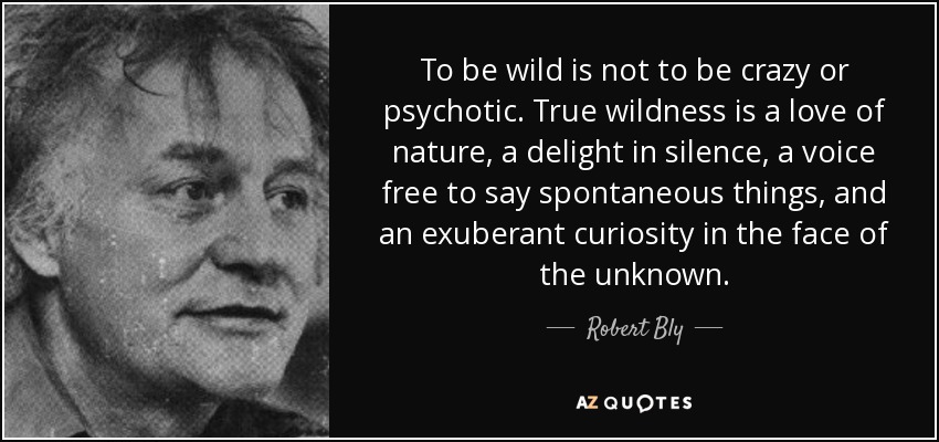 To be wild is not to be crazy or psychotic. True wildness is a love of nature, a delight in silence, a voice free to say spontaneous things, and an exuberant curiosity in the face of the unknown. - Robert Bly