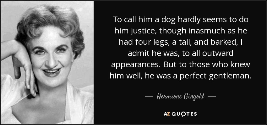 To call him a dog hardly seems to do him justice, though inasmuch as he had four legs, a tail, and barked, I admit he was, to all outward appearances. But to those who knew him well, he was a perfect gentleman. - Hermione Gingold