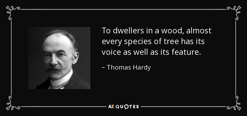 To dwellers in a wood, almost every species of tree has its voice as well as its feature. - Thomas Hardy