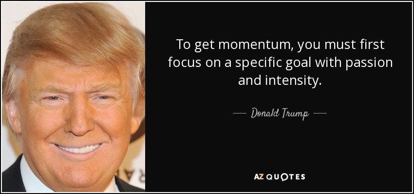 To get momentum, you must first focus on a specific goal with passion and intensity. - Donald Trump