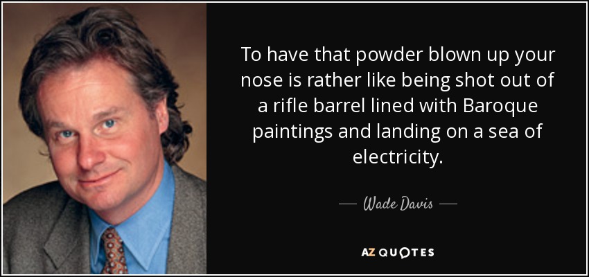 To have that powder blown up your nose is rather like being shot out of a rifle barrel lined with Baroque paintings and landing on a sea of electricity. - Wade Davis
