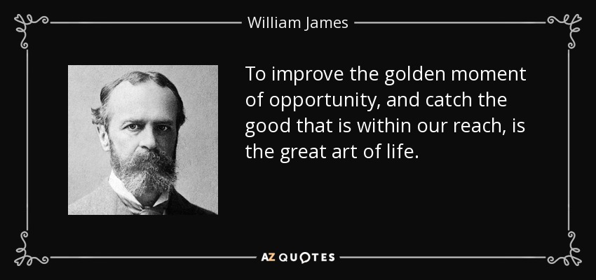 To improve the golden moment of opportunity, and catch the good that is within our reach, is the great art of life. - William James