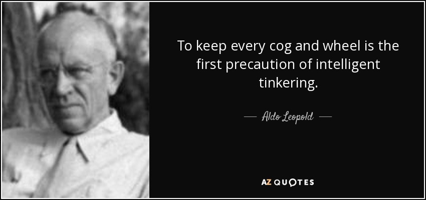 To keep every cog and wheel is the first precaution of intelligent tinkering. - Aldo Leopold