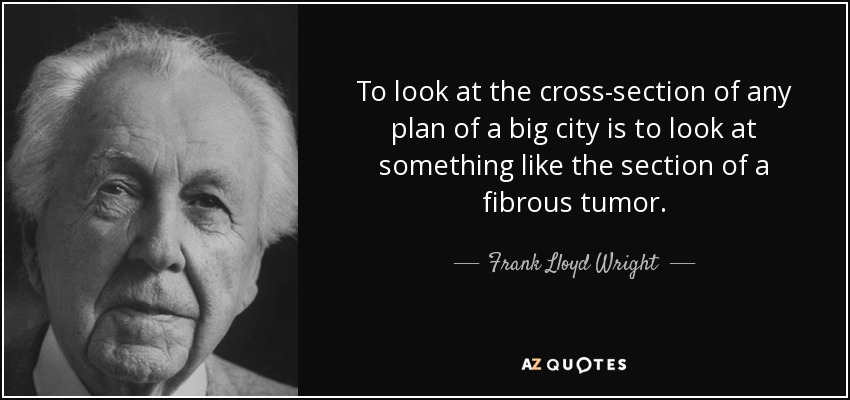 To look at the cross-section of any plan of a big city is to look at something like the section of a fibrous tumor. - Frank Lloyd Wright
