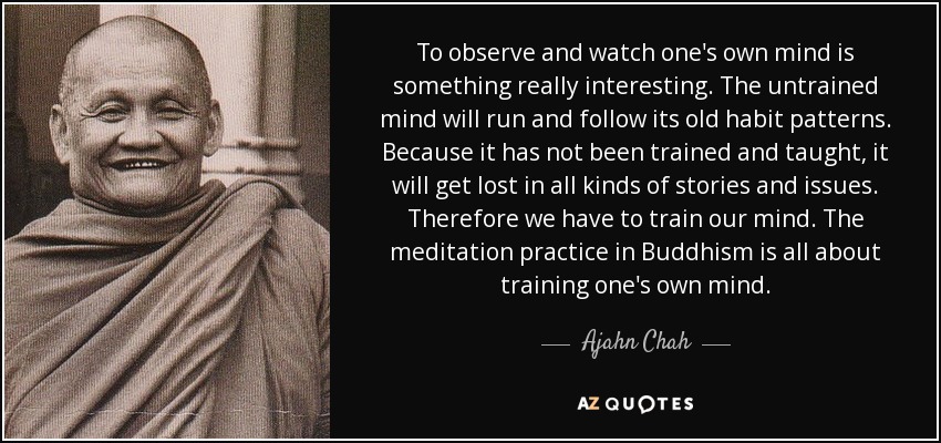 To observe and watch one's own mind is something really interesting. The untrained mind will run and follow its old habit patterns. Because it has not been trained and taught, it will get lost in all kinds of stories and issues. Therefore we have to train our mind. The meditation practice in Buddhism is all about training one's own mind. - Ajahn Chah