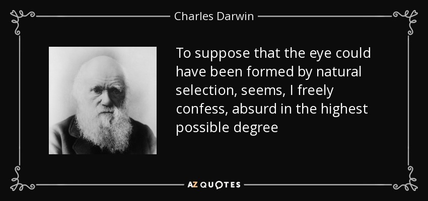 To suppose that the eye could have been formed by natural selection, seems, I freely confess, absurd in the highest possible degree - Charles Darwin