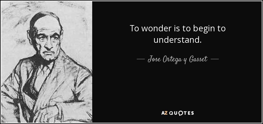 To wonder is to begin to understand. - Jose Ortega y Gasset