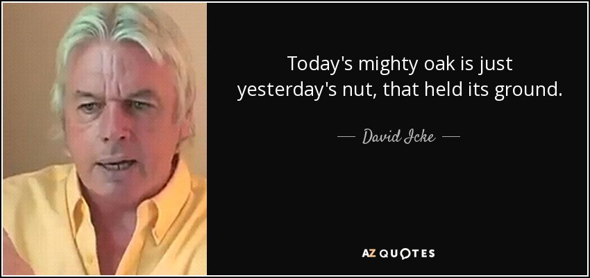 Today's mighty oak is just yesterday's nut, that held its ground. - David Icke