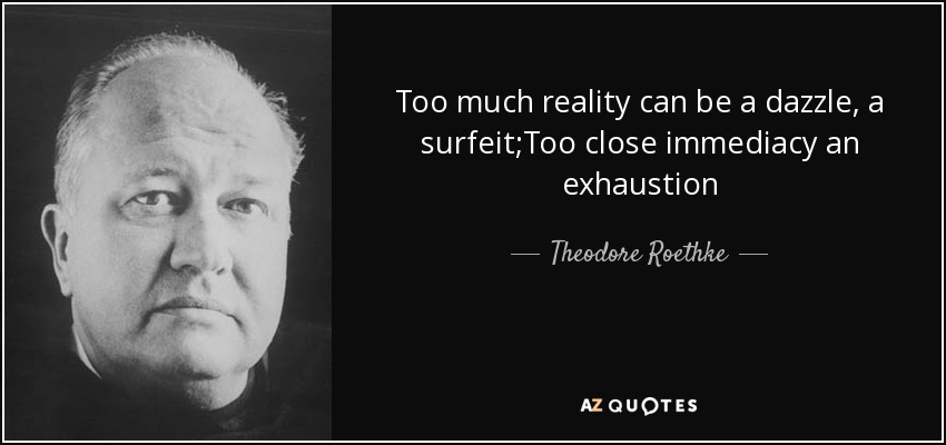 Too much reality can be a dazzle, a surfeit;Too close immediacy an exhaustion - Theodore Roethke