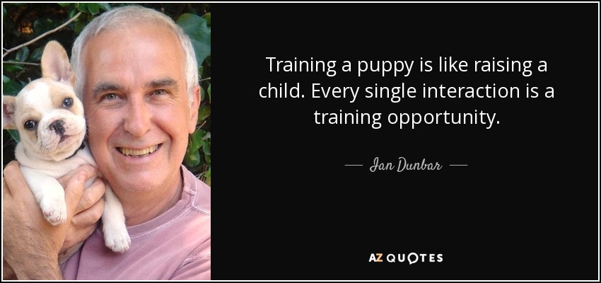 Training a puppy is like raising a child. Every single interaction is a training opportunity. - Ian Dunbar