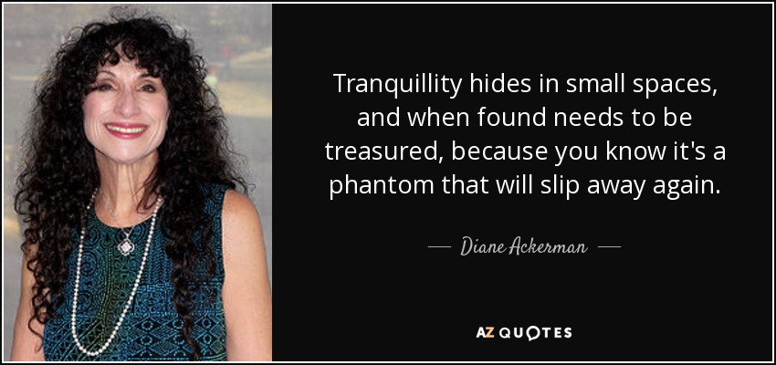 Tranquillity hides in small spaces, and when found needs to be treasured, because you know it's a phantom that will slip away again. - Diane Ackerman