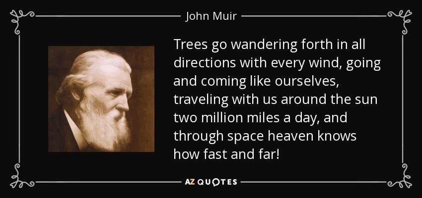 Trees go wandering forth in all directions with every wind, going and coming like ourselves, traveling with us around the sun two million miles a day, and through space heaven knows how fast and far! - John Muir
