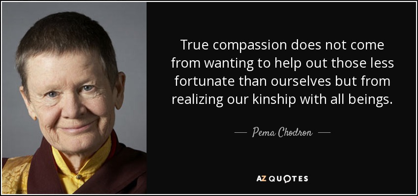 True compassion does not come from wanting to help out those less fortunate than ourselves but from realizing our kinship with all beings. - Pema Chodron