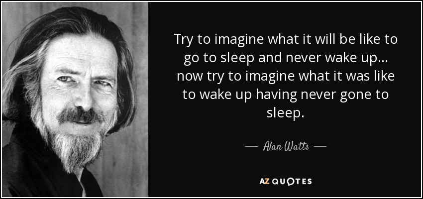 Try to imagine what it will be like to go to sleep and never wake up... now try to imagine what it was like to wake up having never gone to sleep. - Alan Watts