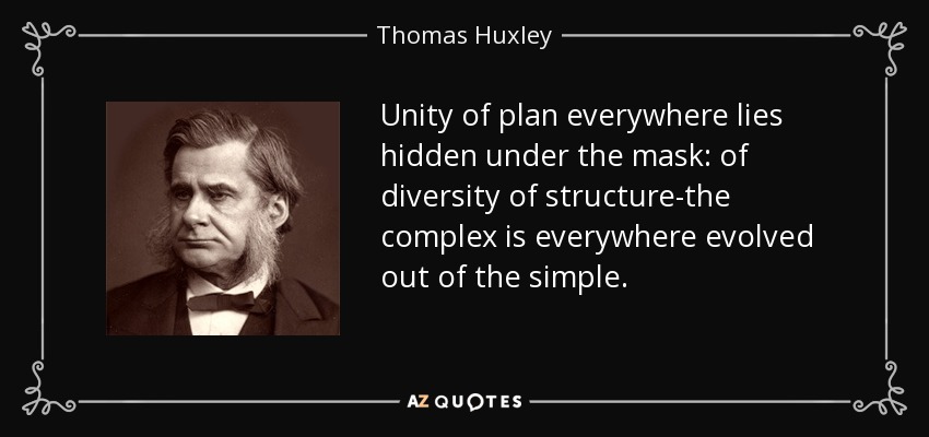 Unity of plan everywhere lies hidden under the mask: of diversity of structure-the complex is everywhere evolved out of the simple. - Thomas Huxley