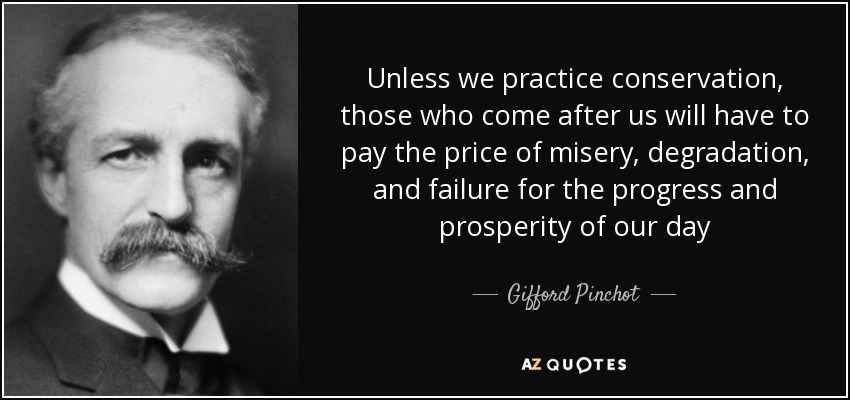 Unless we practice conservation, those who come after us will have to pay the price of misery, degradation, and failure for the progress and prosperity of our day - Gifford Pinchot