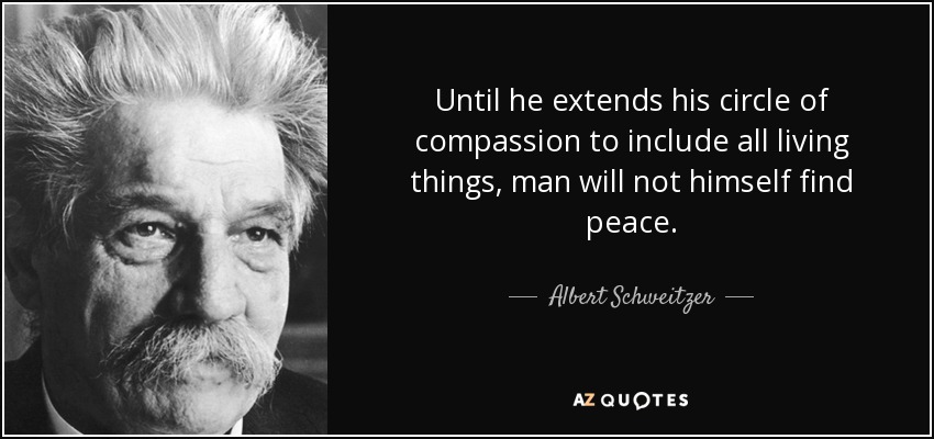 Until he extends his circle of compassion to include all living things, man will not himself find peace. - Albert Schweitzer