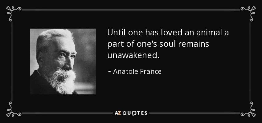 Until one has loved an animal a part of one's soul remains unawakened. - Anatole France