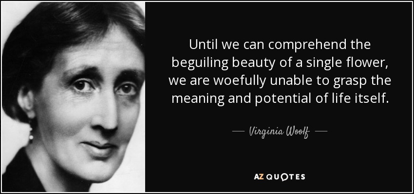 Until we can comprehend the beguiling beauty of a single flower, we are woefully unable to grasp the meaning and potential of life itself. - Virginia Woolf