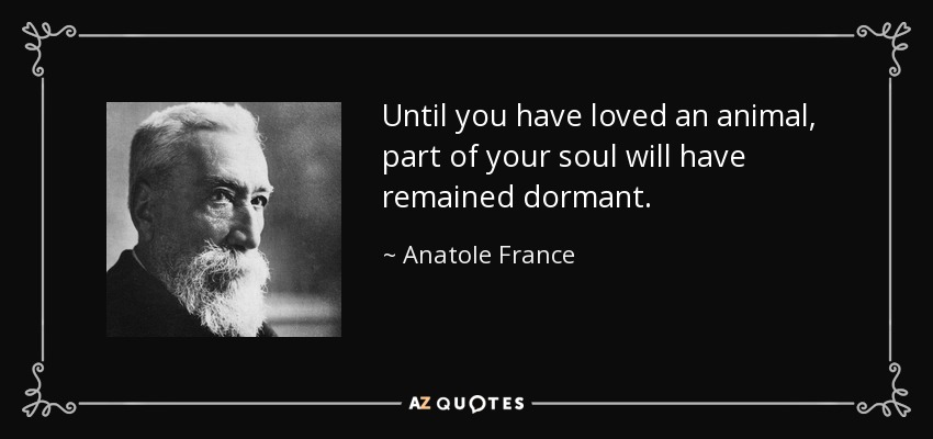 Until you have loved an animal, part of your soul will have remained dormant. - Anatole France