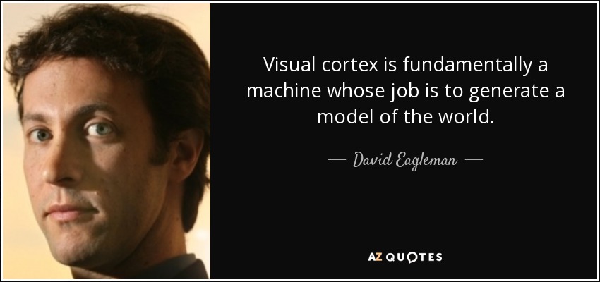 Visual cortex is fundamentally a machine whose job is to generate a model of the world. - David Eagleman