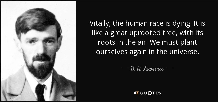 Vitally, the human race is dying. It is like a great uprooted tree, with its roots in the air. We must plant ourselves again in the universe. - D. H. Lawrence