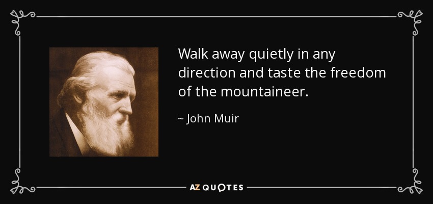 Walk away quietly in any direction and taste the freedom of the mountaineer. - John Muir
