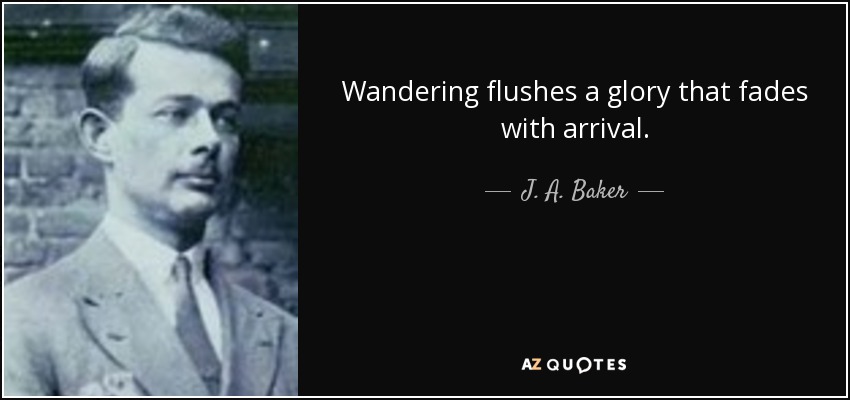 Wandering flushes a glory that fades with arrival. - J. A. Baker