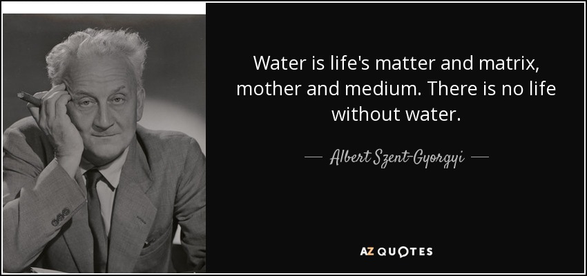 Water is life's matter and matrix, mother and medium. There is no life without water. - Albert Szent-Gyorgyi