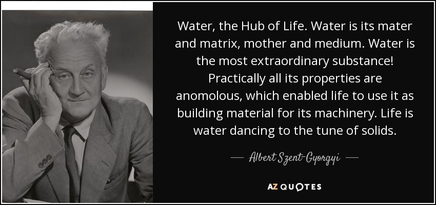 Water, the Hub of Life. Water is its mater and matrix, mother and medium. Water is the most extraordinary substance! Practically all its properties are anomolous, which enabled life to use it as building material for its machinery. Life is water dancing to the tune of solids. - Albert Szent-Gyorgyi