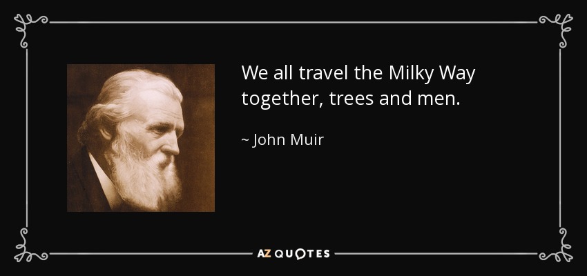 We all travel the Milky Way together, trees and men. - John Muir