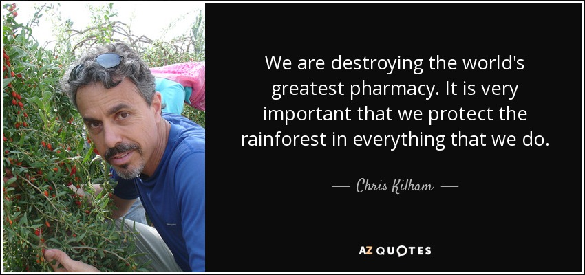We are destroying the world's greatest pharmacy. It is very important that we protect the rainforest in everything that we do. - Chris Kilham