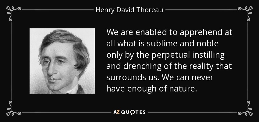 We are enabled to apprehend at all what is sublime and noble only by the perpetual instilling and drenching of the reality that surrounds us. We can never have enough of nature. - Henry David Thoreau