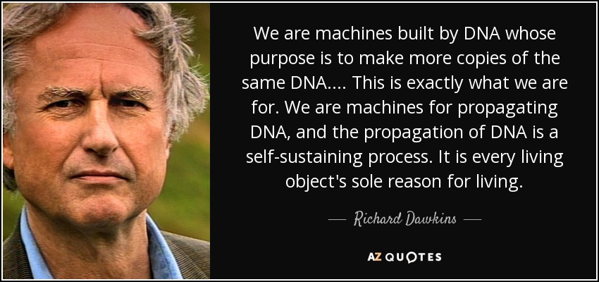 We are machines built by DNA whose purpose is to make more copies of the same DNA. ... This is exactly what we are for. We are machines for propagating DNA, and the propagation of DNA is a self-sustaining process. It is every living object's sole reason for living. - Richard Dawkins