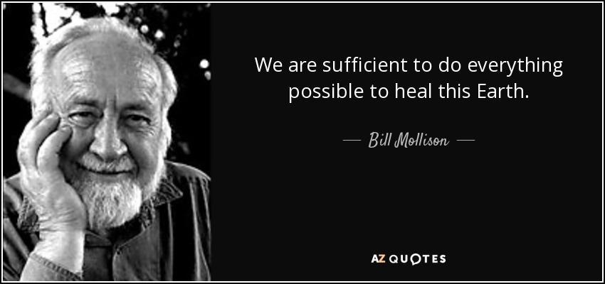 We are sufficient to do everything possible to heal this Earth. - Bill Mollison