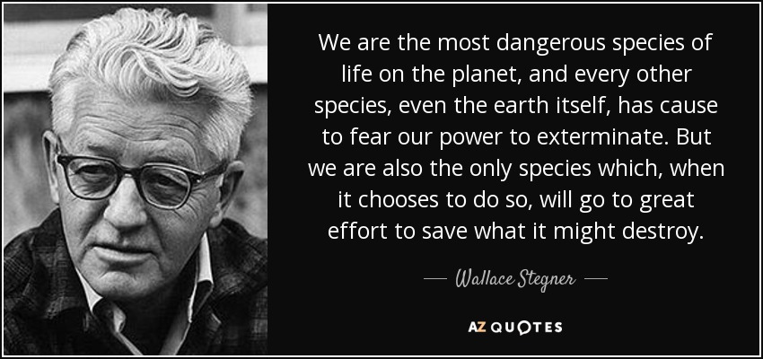 We are the most dangerous species of life on the planet, and every other species, even the earth itself, has cause to fear our power to exterminate. But we are also the only species which, when it chooses to do so, will go to great effort to save what it might destroy. - Wallace Stegner
