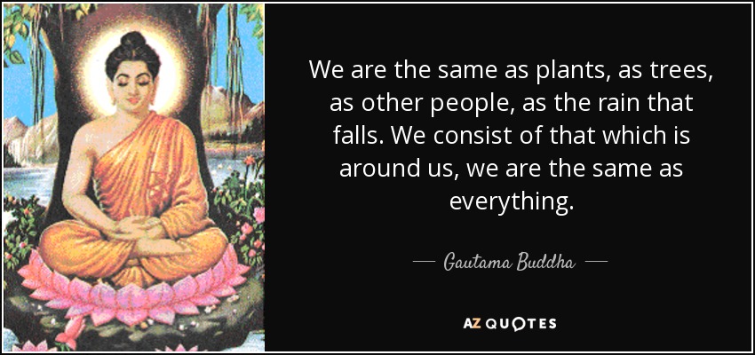 We are the same as plants, as trees, as other people, as the rain that falls. We consist of that which is around us, we are the same as everything. - Gautama Buddha