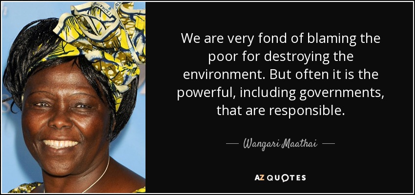 We are very fond of blaming the poor for destroying the environment. But often it is the powerful, including governments, that are responsible. - Wangari Maathai
