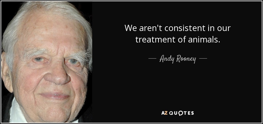 We aren't consistent in our treatment of animals. - Andy Rooney