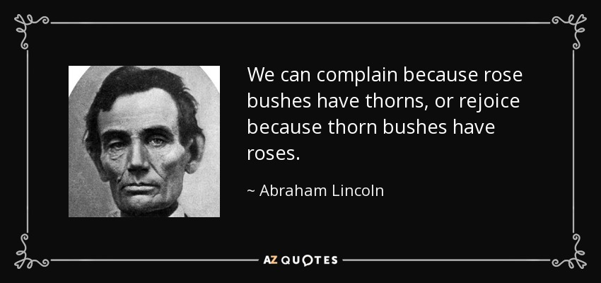 We can complain because rose bushes have thorns, or rejoice because thorn bushes have roses. - Abraham Lincoln