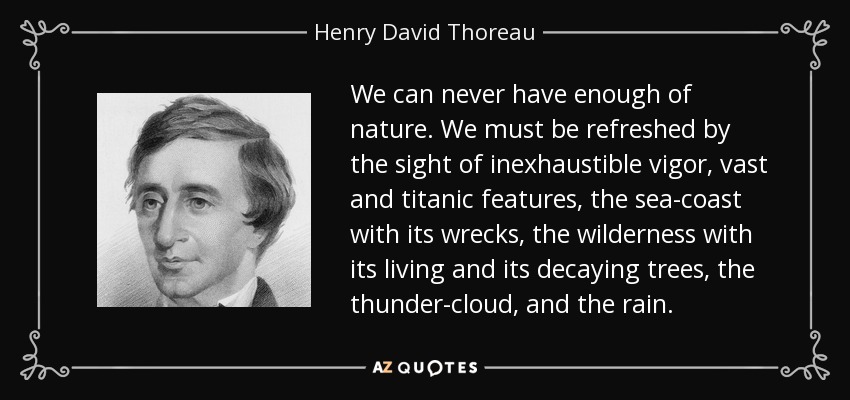 We can never have enough of nature. We must be refreshed by the sight of inexhaustible vigor, vast and titanic features, the sea-coast with its wrecks, the wilderness with its living and its decaying trees, the thunder-cloud, and the rain. - Henry David Thoreau