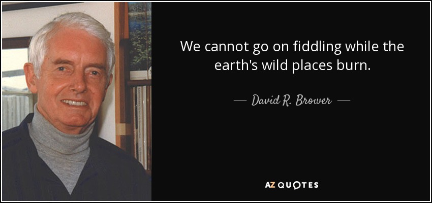 We cannot go on fiddling while the earth's wild places burn. - David R. Brower
