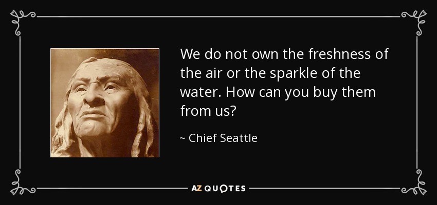 We do not own the freshness of the air or the sparkle of the water. How can you buy them from us? - Chief Seattle