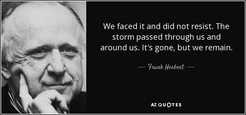 We faced it and did not resist. The storm passed through us and around us. It's gone, but we remain. - Frank Herbert