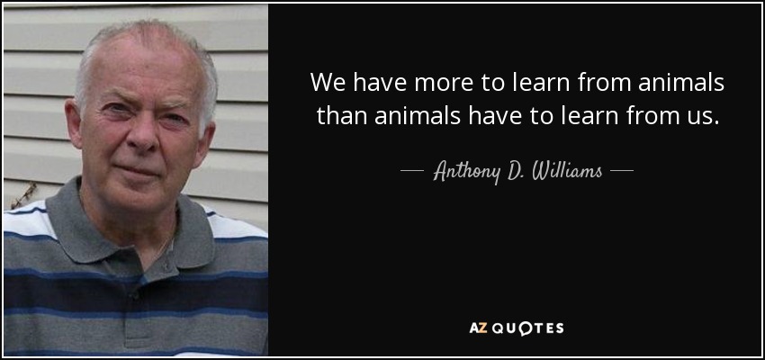 We have more to learn from animals than animals have to learn from us. - Anthony D. Williams