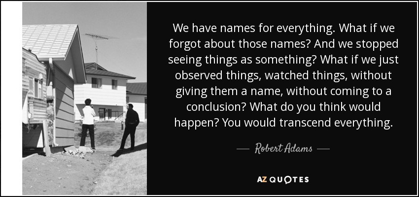We have names for everything. What if we forgot about those names? And we stopped seeing things as something? What if we just observed things, watched things, without giving them a name, without coming to a conclusion? What do you think would happen? You would transcend everything. - Robert Adams