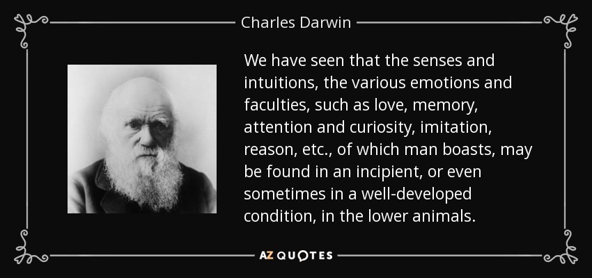 We have seen that the senses and intuitions, the various emotions and faculties, such as love, memory, attention and curiosity, imitation, reason, etc., of which man boasts, may be found in an incipient, or even sometimes in a well-developed condition, in the lower animals. - Charles Darwin