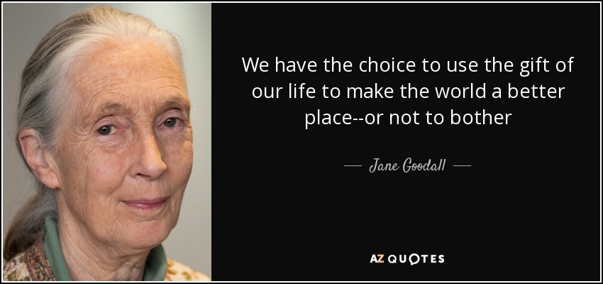 We have the choice to use the gift of our life to make the world a better place--or not to bother - Jane Goodall