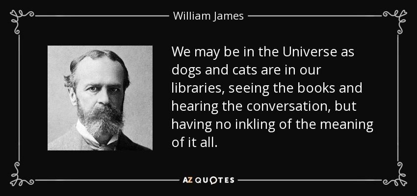 We may be in the Universe as dogs and cats are in our libraries, seeing the books and hearing the conversation, but having no inkling of the meaning of it all. - William James