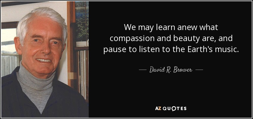 We may learn anew what compassion and beauty are, and pause to listen to the Earth's music. - David R. Brower